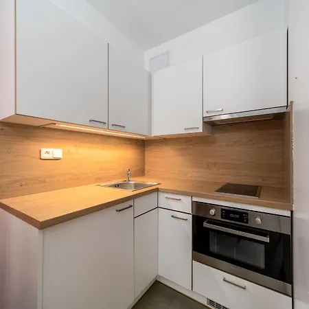 Jansky Potok Ii-5 By Interhome Janské Lázně